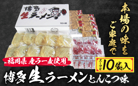 U16-17 福岡県産ラー麦 博多生ラーメンとんこつ味 【JTW】 【fukuchi00】