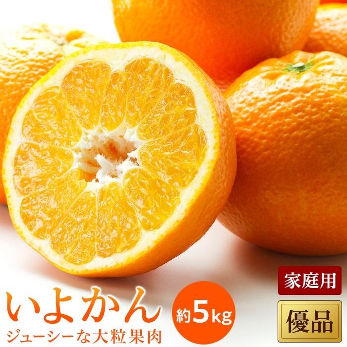 【ふるさと納税】【先行予約】【2026年1月中旬から発送予定】いよかん 優品 家庭用 約5kg | 愛媛 みかん 先行予約 蜜柑 柑橘 果物 くだもの フルーツ お取り寄せ グルメ 期間限定 数量限定 人気 おすすめ 愛媛県 松山市