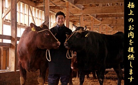 【山形牛キャンペーン】　山形牛赤身切落とし600g＋米沢牛牛脂入りおぐに短角牛赤身ソーセージ