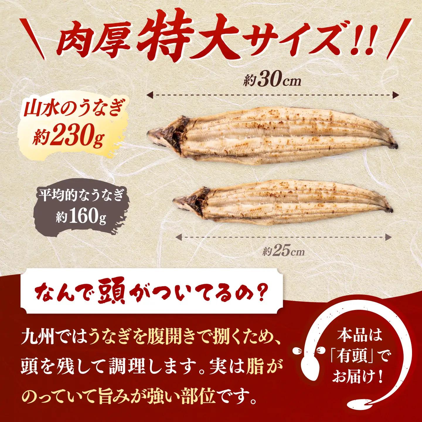 【ふるなびWEEK対象】鹿児島県産 特上うなぎ 白焼き 2尾 [ADAH009] 白焼き