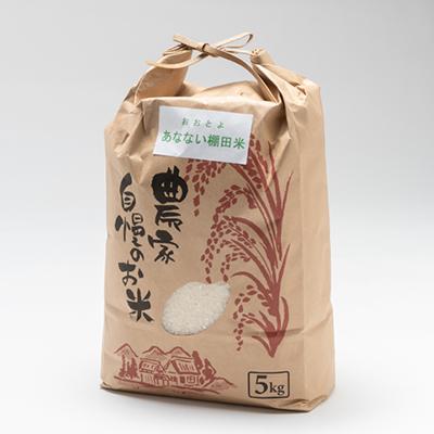 ふるさと納税 大豊町 あなない棚田米(精米)　5kg |  | 01