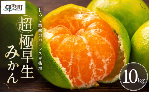 秋の味覚ミカファームの超極早生みかん10キロ【期間限定 数量限定 果物 フルーツ みかん 超極早生みかん 超極早生 デザート 10kg 三重県 御浜町】