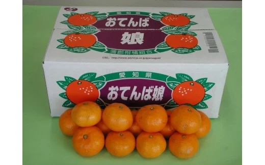 【期間限定】蒲郡みかん「おてんば娘」約５kg_【G0190】