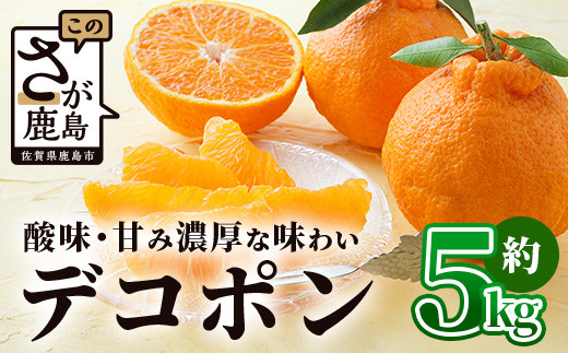 
            基準クリアの高級柑橘 デコポン 約5kg 不知火 しらぬい でこぽん みかん 蜜柑 ミカン オレンジ 柑橘 フルーツ 果物 贈り物 贈答 プレゼント 高級 ブランド 限定 ギフト ふるさと納税 佐賀県 鹿島市 B-672
          