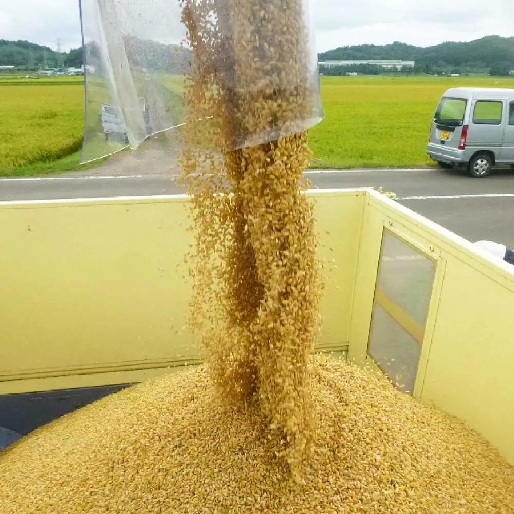 【3か月定期便】＜令和7年産米＞蔵王源流米ひとめぼれ5kg×3回 (全15kg)　【04301-0162】