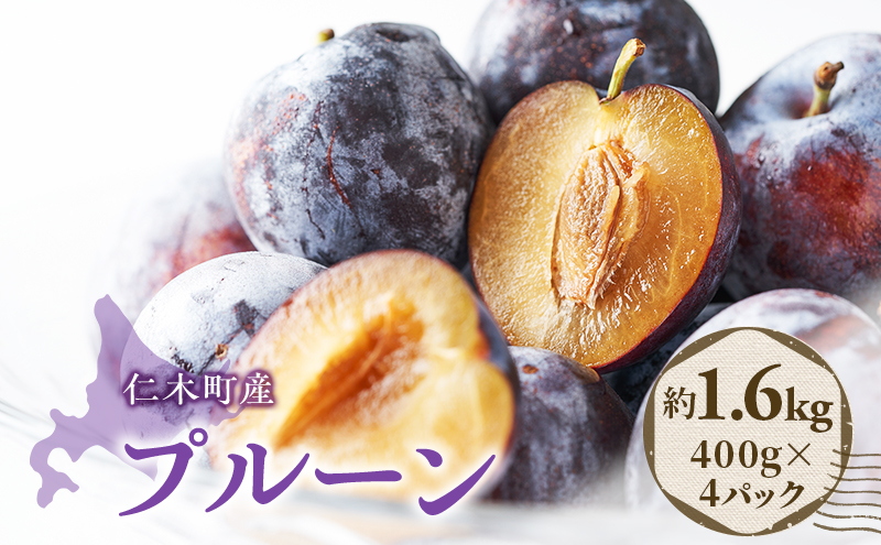 [先行受付] 北海道 仁木町産 季節のプルーン 1.6kg（400g×4パック）プルーン 果物 果物類 くだもの フルーツ [JA新おたる]