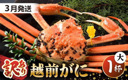 越前蟹 訳あり 茹で 越前ズワイガニ 大 1杯 脚折れ 【3月発送分】 [I-1401_03]