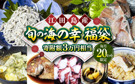 旬の海の幸 寄附額3万円相当[XBY006]魚介魚介魚介魚介魚介