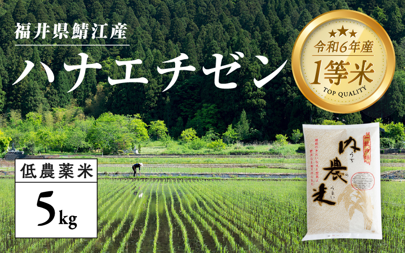 【令和6年産新米】福井県産 内農米 華越前 5kg  黒米300ｇ2024年10月以降順次発送！