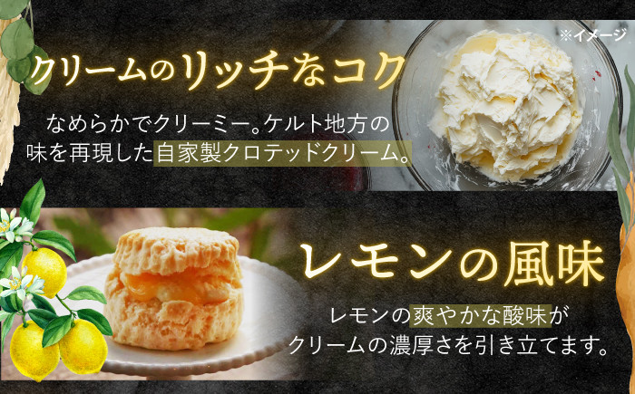 お菓子 焼き菓子 スイーツ 贈答用 ギフト プレゼント ふるさと納税限定 スコーン レモン レモンカード サンド 10個