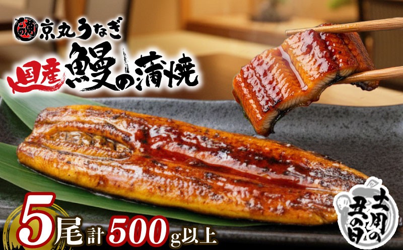 
                  【 土用丑の日 対応】うなぎ 蒲焼 国産 5尾 計約500g以上 静岡 うなぎ処京丸 蒲焼き unagi 鰻 ウナギ 国産うなぎ 国産鰻 国産ウナギ かば焼き 鰻蒲焼 うなぎ蒲焼き 冷凍 土用 丑の日 人気 個包装 小分け ギフト プレゼント おすすめ ランキング おいしい 沼津
                