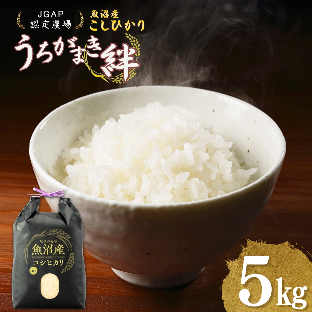 【JGAP認証農場】令和7年産 魚沼産コシヒカリ 精米5kg(5kg×1袋) うちがまき絆【0002-UK01-02】