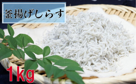 鮮度抜群 海の玄米 子供用 釜揚げ しらす 1kg 子どもにも 便利 小分けパック 100g×10パック 産地直送 無添加 鮮度 抜群 高知県 須崎市 海の玄米 高タンパク 低糖質 低カロリー カルシウム 宮進商店 職人 しらす ｼﾗｽ しらす ｼﾗｽ しらす ｼﾗｽ しらす ｼﾗｽ しらす ｼﾗｽ しらす ｼﾗｽ しらす ｼﾗｽ しらす ｼﾗｽ しらす ｼﾗｽ しらす ｼﾗｽ しらす ｼﾗｽ しらす ｼﾗｽ しらす ｼﾗｽ しらす ｼﾗｽ しらす ｼﾗｽ しらす ｼﾗｽ しらす ｼﾗｽ しらす ｼﾗｽ し