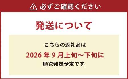 男爵いも 約20kg  野菜 芋 いも じゃがいも ジャガイモ ポテト 男爵 北海道 浦臼町  【2026年9月上旬～2026年9月下旬発送予定】
