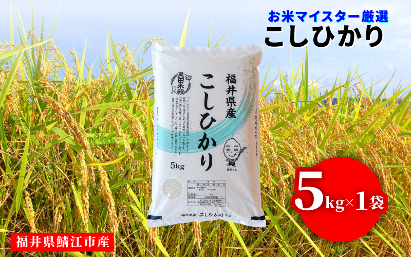 【令和7年産】コシヒカリ 5kg（5kg × 1袋）