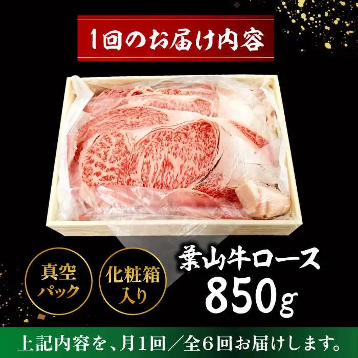 【全6回定期便】【化粧箱入り】葉山牛ロース すき焼きセット(葉山牛ロース850g) ／ 牛肉 和牛 すき焼き 神奈川県[ASAP015]