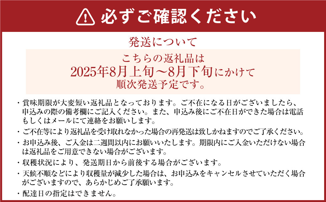 ｢丸坂山田農園｣ 山之上梨 幸水