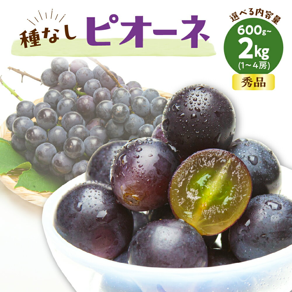 【ふるさと納税】ぶどう ( 種なし ピオーネ ) 選べる 約 600g / 1.2kg / 2kg 令和8年産 先行予約 2026年 山形県産 葡萄 果物 フルーツ 秀品 のし 贈答 ギフト プレゼント おすそ分け 秋 旬 期間限定 冷蔵便 送料無料 産地直送 お取り寄せ 【 山形県 天童市 】