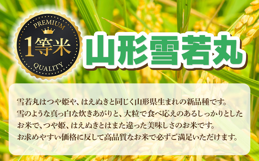 【令和7年産】雪若丸 精米 5kg　山形県鶴岡市　庄内丸山農場　| ゆきわかまる ゆきわか 5キロ 米どころ 庄内米 ブランド米 米 コメ こめ 精米 ご飯 ごはん 美味しい お取り寄せ 農家直送 お