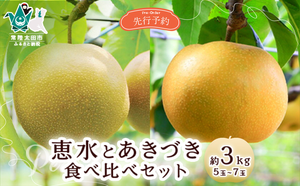 
            【先行予約 数量限定】梨 厳選2種食べ比べ 恵水 あきづき セット 約3kg 5玉～7玉【茨城県 常陸太田市 桧山果樹園 梨 フルーツ 高級 産地直送 限定品 贈り物 新鮮 お取り寄せ デザート ギフト 風味豊か 香り 上品 希少価値 珍しい 地域 甘い 限定 果物 果樹】
          