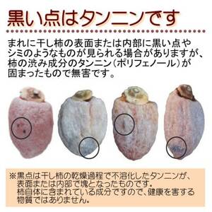 【南信州産】市田柿(バラふぞろい)約1kg(500gパック×2袋)【1114344】