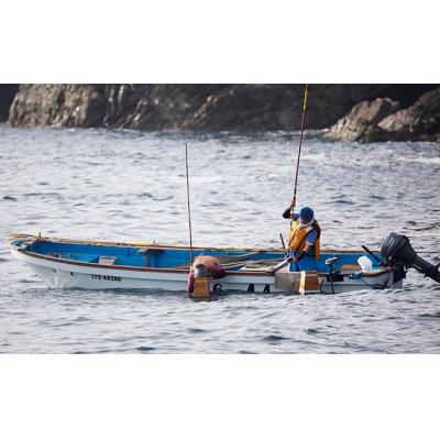 ふるさと納税 陸前高田市 塩うに 80g×1本 [ 無添加 ミョウバン不使用 ] 広田湾漁協からお届け! |  | 03