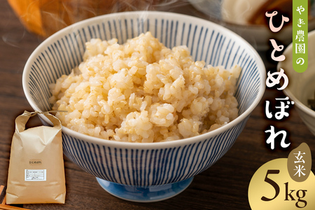 １２月発送【新米】ひとめぼれ玄米５kg【2024年産】 ごはん ご飯 ひとめぼれ ﾋﾄﾒﾎﾞﾚ おにぎり  mi0100-0004-2-12