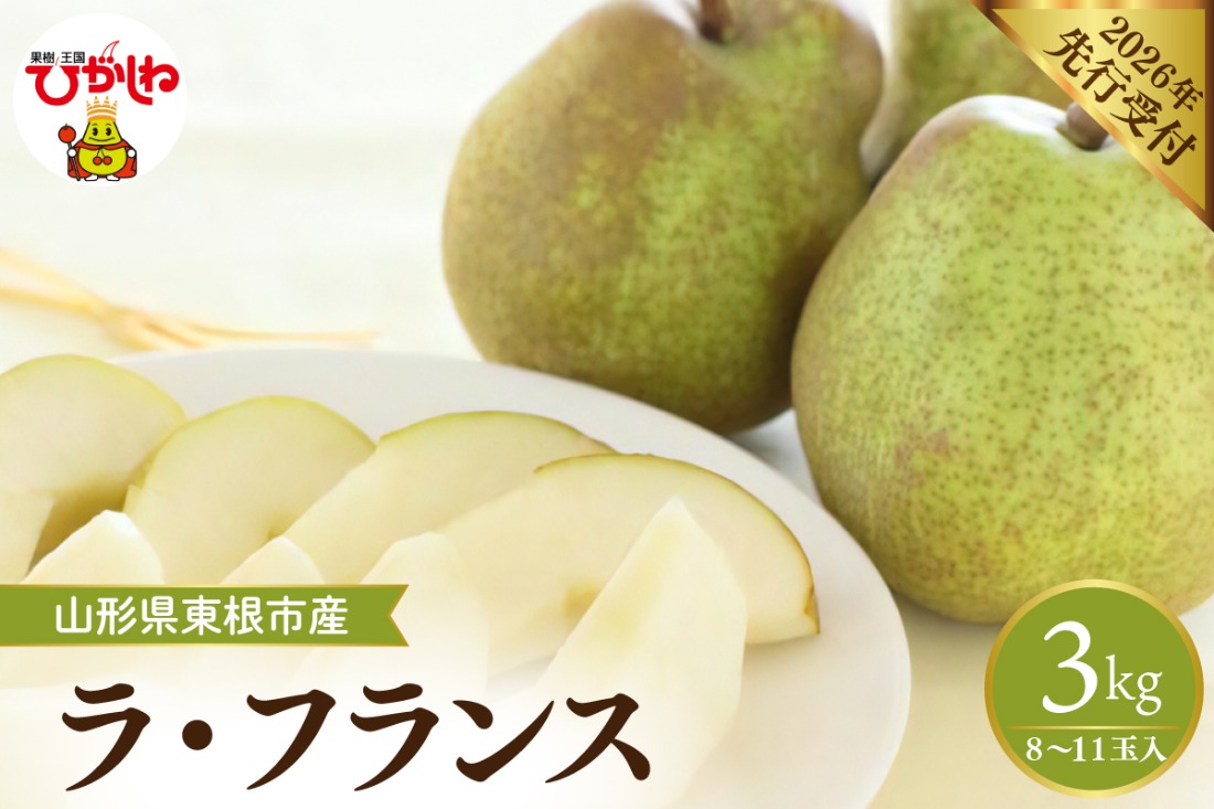 【2026年産先行予約】 フルーツの女王「ラ・フランス」 約3kg(8～11玉)山形県 東根市　hi026-059