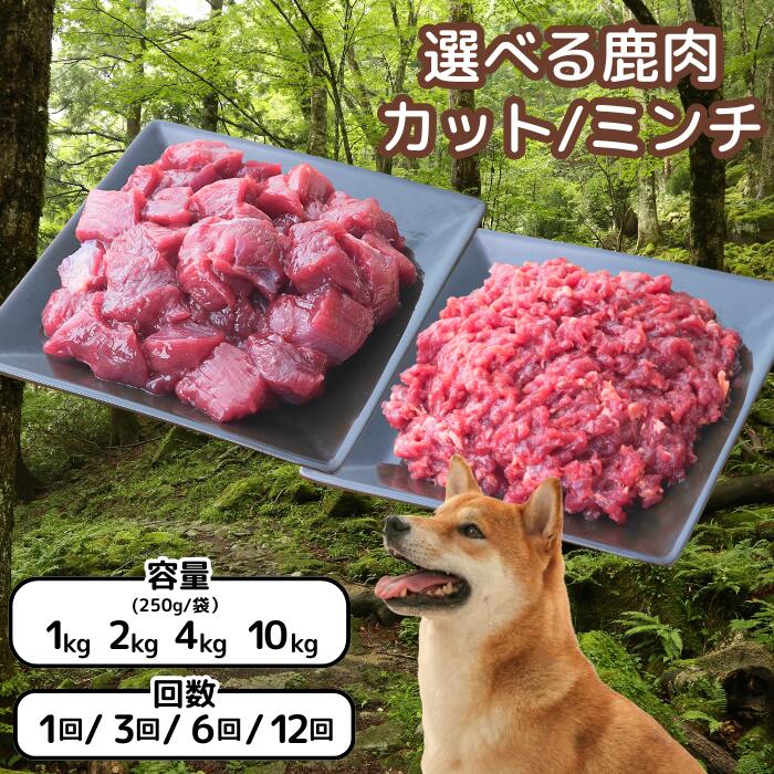 森のジビエ for PET 鹿肉 250g×8パック(計2kg)ペットフード 犬 猫 A-JK-A10A
