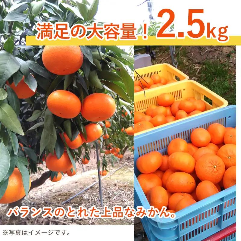 『予約受付』【令和9年1月下旬発送】麗紅(れいこう) ハウス栽培 唐津産 2.5kg