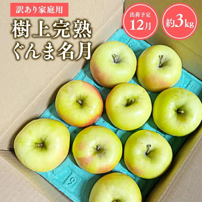 りんご 家庭用 樹上完熟ぐんま名月 約3㎏ 青森県平川市産 [hi-0038-020]