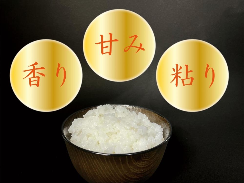 【令和7年産】【南魚沼産】コシヒカリ 白米3kg【2025年9月中旬より順次発送予定】