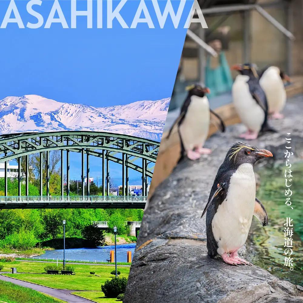 【北海道ツアー】旭川市 後から選べる旅行Webカタログで使える！旅行クーポン 9万円分 | トラベル 宿泊 観光 体験 ホテル チケット_04884
