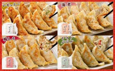 ＜樹樹の餃子4種のモリモリセット計100個＞翌月末迄に順次出荷【TVで話題沸騰！】