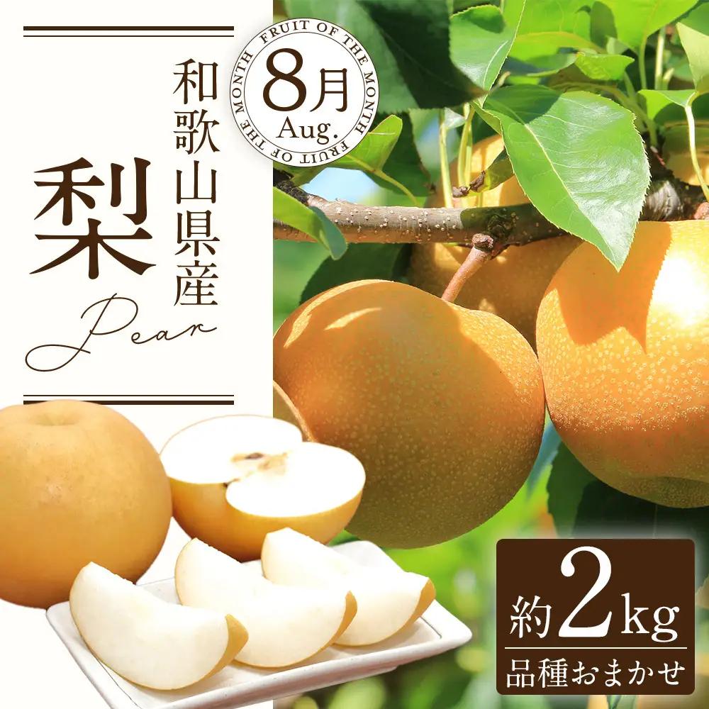 定期便全3回 【7月・8月・9月発送】 和歌山の夏のフルーツをお届け（桃・梨・シャインマスカット） ［TM224］