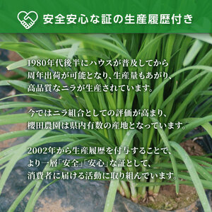 【先行予約】【2026年7月から発送】肉厚・シャキシャキ! 朝採れ鮮度抜群! 櫻田さん家のニラ 1kg(100g×10束)、花芽入り（約300ｇ～400ｇ）SMCS003