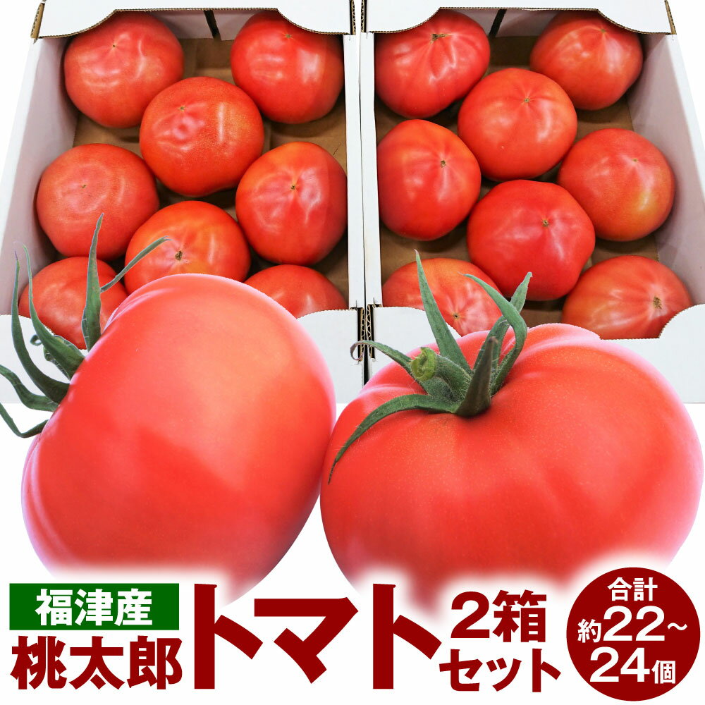【ふるさと納税】福津産 桃太郎 トマト 2箱セット あんずの里 1箱11～12個入 合計約22～24個 箱詰め とまと 野菜 生野菜 冷蔵 春 旬 福岡県産 九州 送料無料【2025年11月～2026年5月発送】 [G0043]
