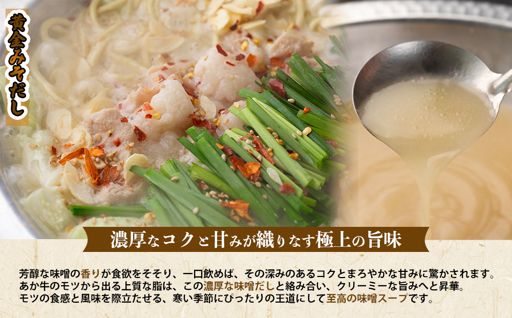 【選べるスープ】阿蘇はなびし あか牛もつ鍋セット（みそ） 冷凍 鍋 味噌味 牛肉 もつ 冷凍 便利 料理 自宅用 贈答用 お中元 お歳暮 クリスマス ギフト 冬 おすすめ 熊本県 阿蘇市 あか牛もつ鍋