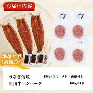 鹿児島県産 霧島湧水鰻3尾(1尾156g)×里山牛100%手作りハンバーグ4個(1個100g) (総計860g以上) うなぎ 鰻 ウナギ 蒲焼き 真空パック うな丼 鰻重 牛 牛肉 鹿児島県産 国産 