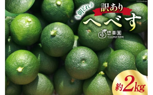 【期間限定発送】 訳あり 柑橘 へべす 果実 2kg [へべすの悠美園 宮崎県 日向市 452060725] 果物 フルーツ 不揃い 家庭用 規格外 ヘベス 果汁 宮崎