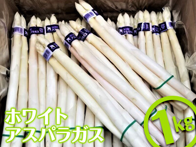 ＜期間限定！2026年3月上旬以降順次発送＞ホワイトアスパラガス (約1kg) 香川県 国産 野菜 アスパラ 新鮮 冷蔵便 【man080】【Aglio nero】