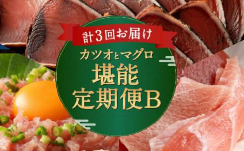 ＜３ヶ月連続＞カツオとマグロ堪能定期便Ｂ