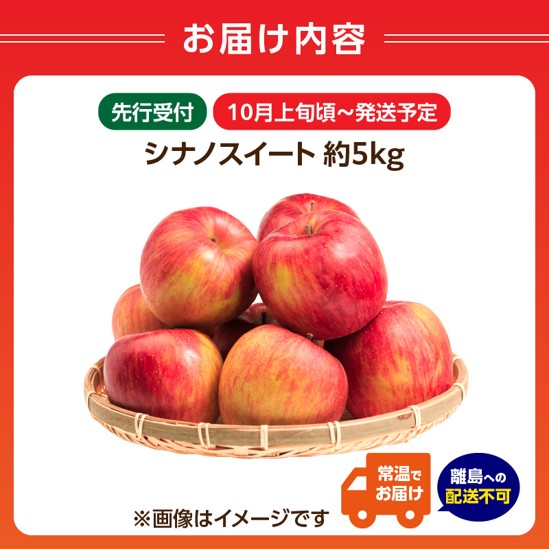 《先行受付》シナノスイート約5kg 【2026年10月上旬頃～発送予定】【山形県産りんご】