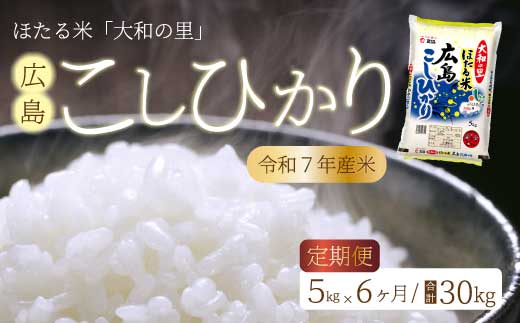 
            《令和7年新米》【6ヶ月定期便】ほたる米「大和の里」 広島こしひかり 精米 5kg 白米 米 こめ 令和7年産 066003
          