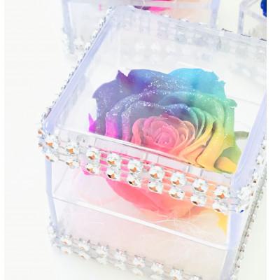 ふるさと納税 中央市 プリザーブドフラワー レインボーローズ クリアケース ミニサイズ 花言葉「奇跡」「無限の可能性」 |  | 02
