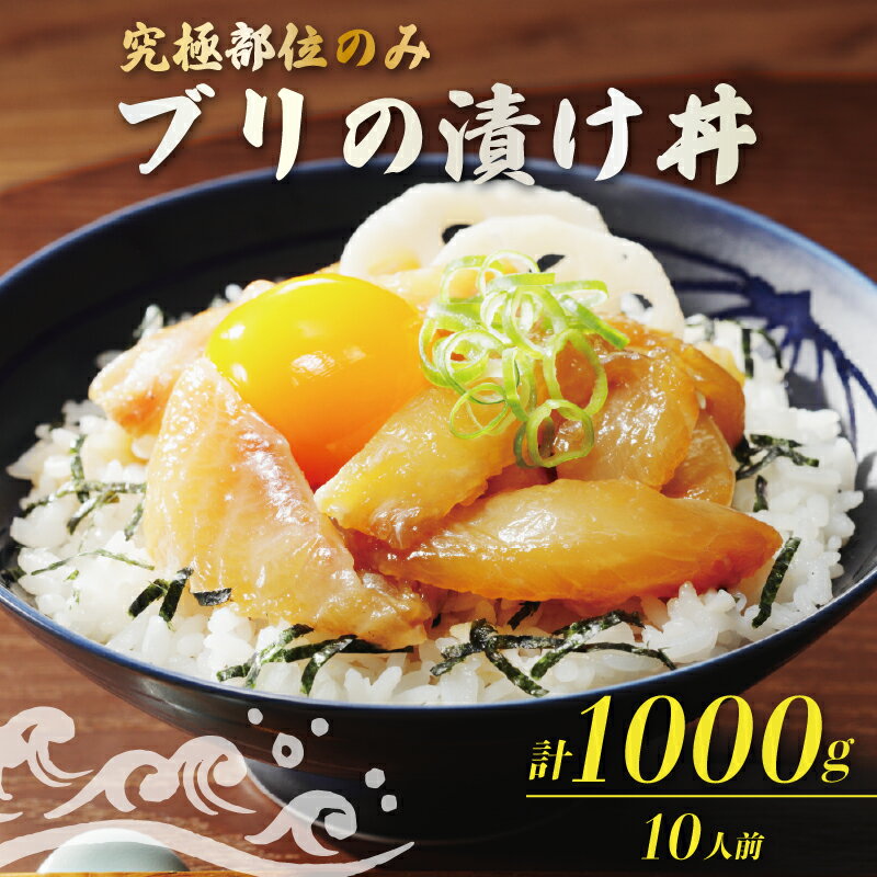 【ふるさと納税】希少部位のみ ブリの漬け丼 100g 10パック つのとろ 大トロ ぶり 鰤 漬け 漬け丼 希少部位 希少 トロ 小分け 冷凍 カンタン ごはん の お供 簡単調理 簡単 魚 さかな 和食 洋食 晩ご飯 お酒 つまみ 丼 どんぶり丼物 ハマスイ 愛媛県愛南町 愛媛県 愛南町