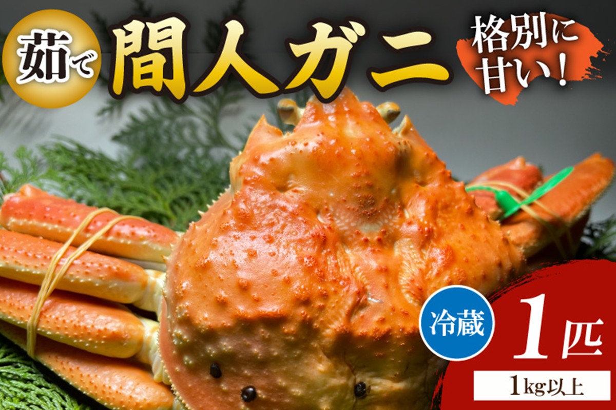 間人漁港仲買人の丸友鮮魚三代目・自慢の間人ガニ≪茹で≫[1匹 1kg以上]]　MG00010