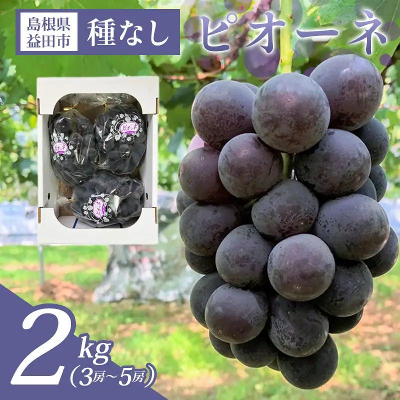 B-700 黒い宝石「種なしピオーネ」2kg