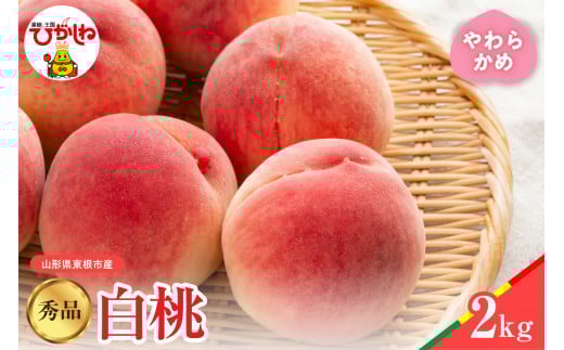 【2025年産　先行予約】白桃 品種おまかせ 秀品2kg(やわらかめ) 山形県 東根市　hi004-hi062-022-1