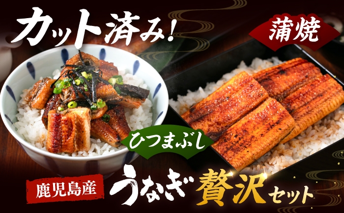 九州産　カット済み うなぎ 蒲焼き 定期便